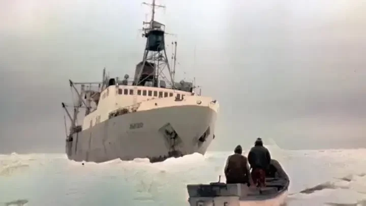 Жизнь такая, как надо!