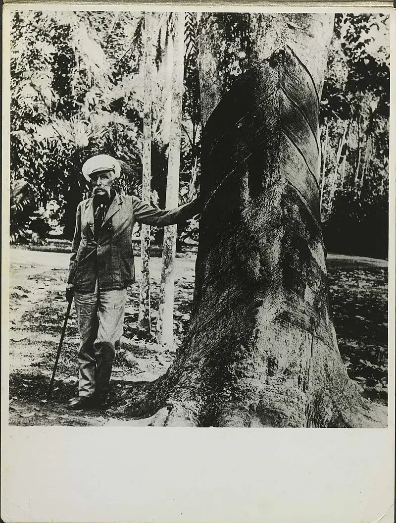 Синтетический каучук: как капиталисты душили друг друга